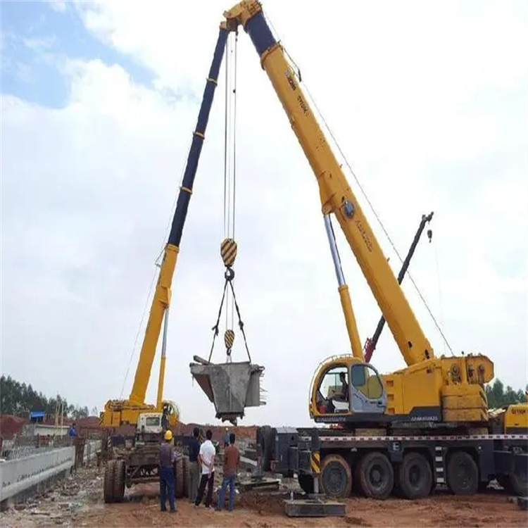 蒙城小型吊机出租电话|厂房设备吊装方案|24小时服务覆盖